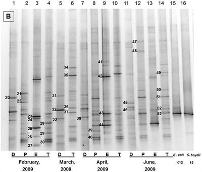 Bacterial Community Profiling of Tropical Freshwaters in Bangladesh